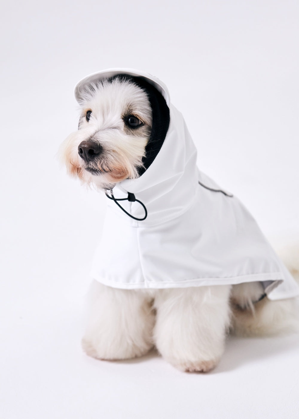 GBH X ANDBLANK PET RAINCOAT