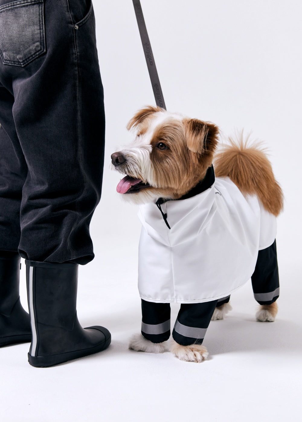 GBH X ANDBLANK PET RAINCOAT