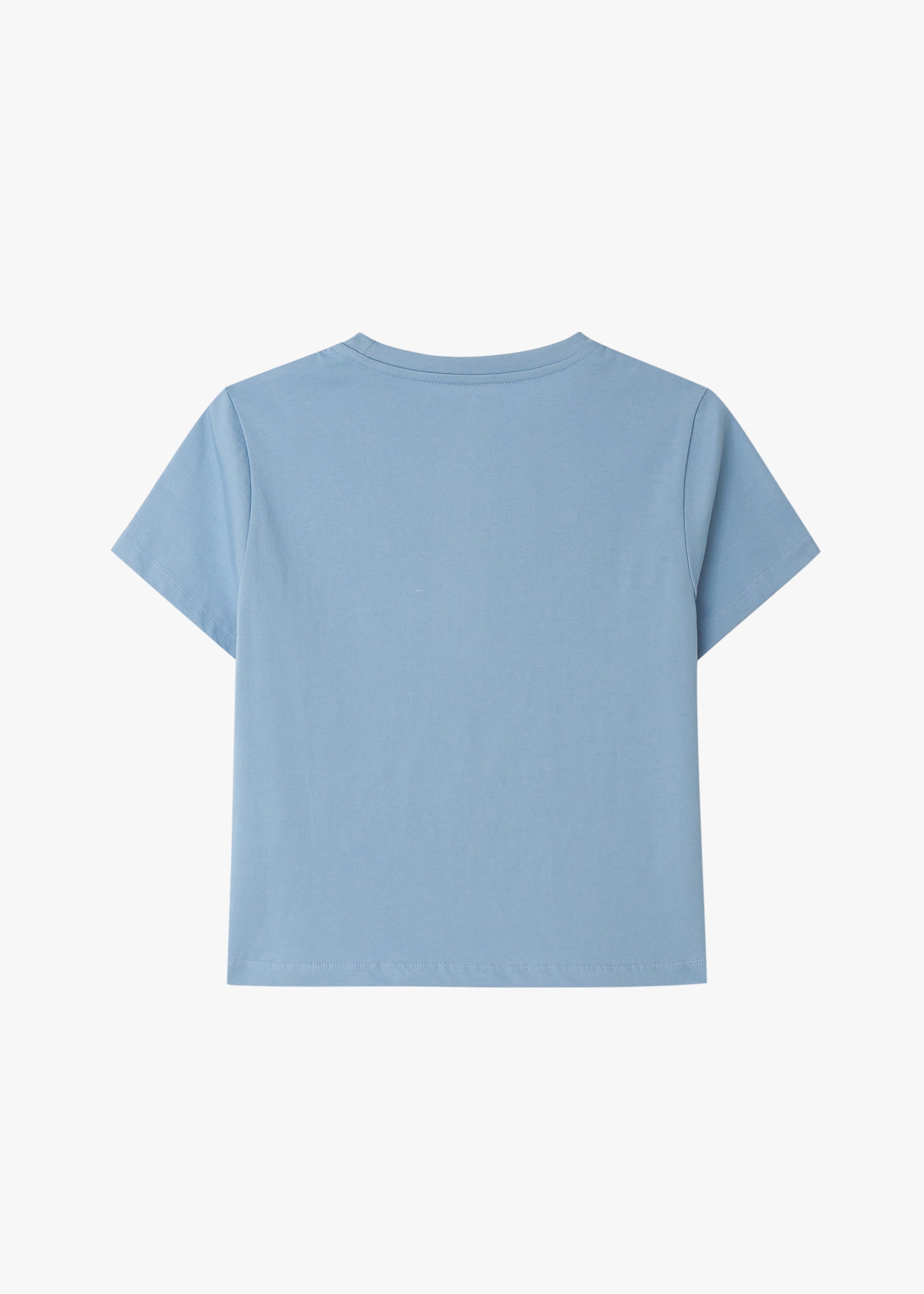 BASIC 90S TOP