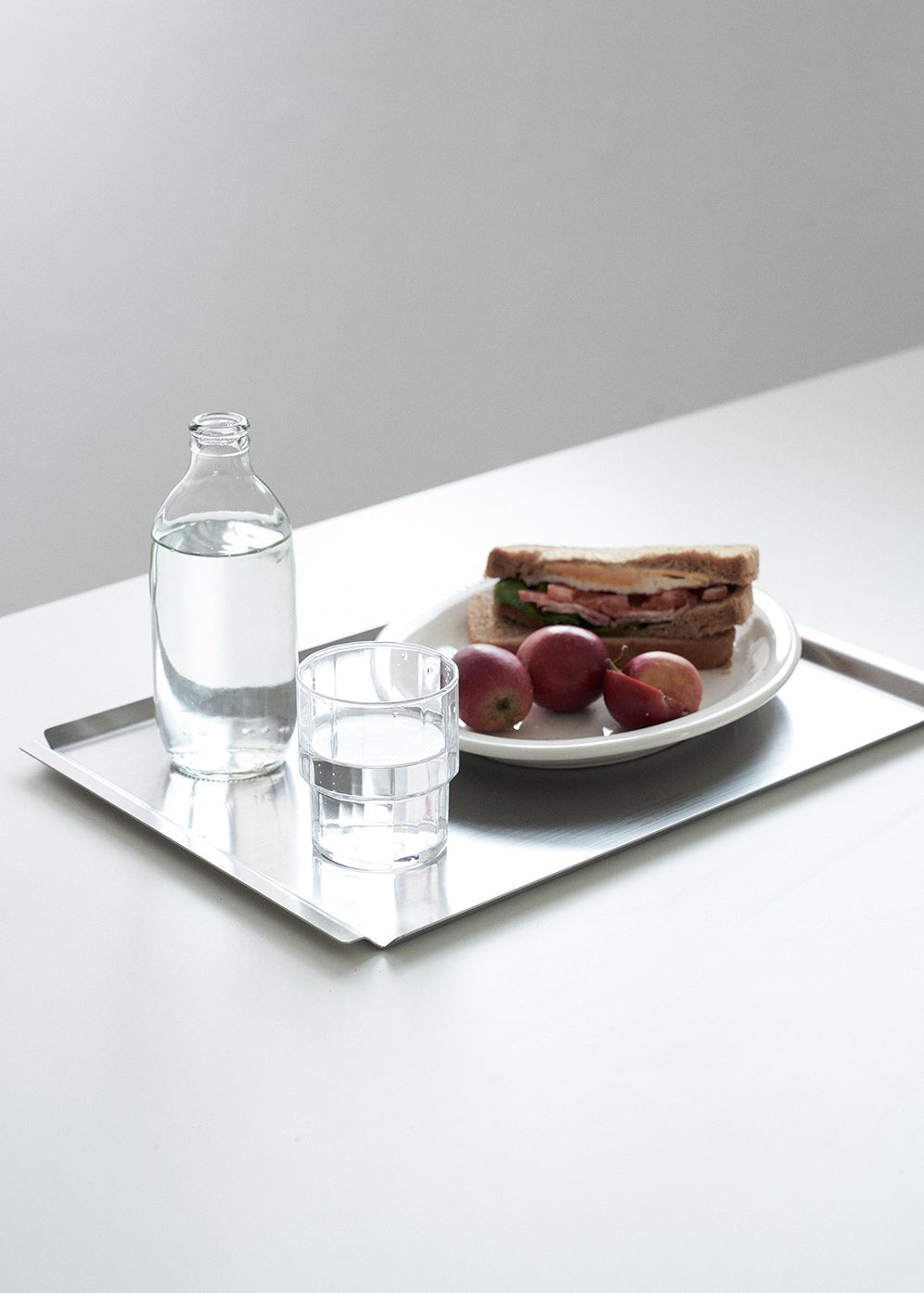 STAINLESS STEEL TRAY